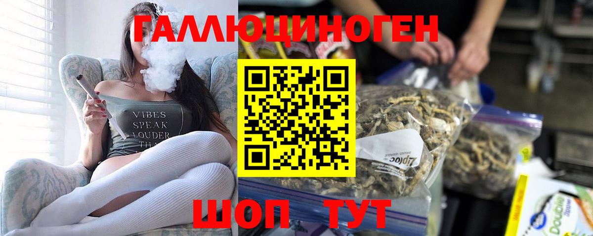 Галлюциногенные грибы мухоморы  Вход с VPN  Кропоткин  Псилоцибиновые грибы Psilocybe 